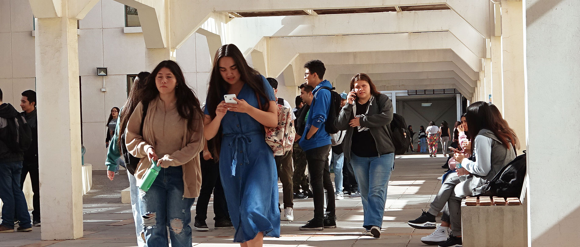 Universidad de Atacama