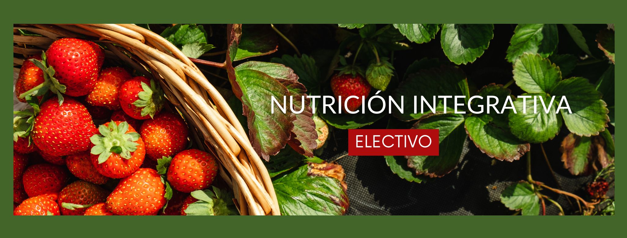 Electivo: Nutrición Integrativa
