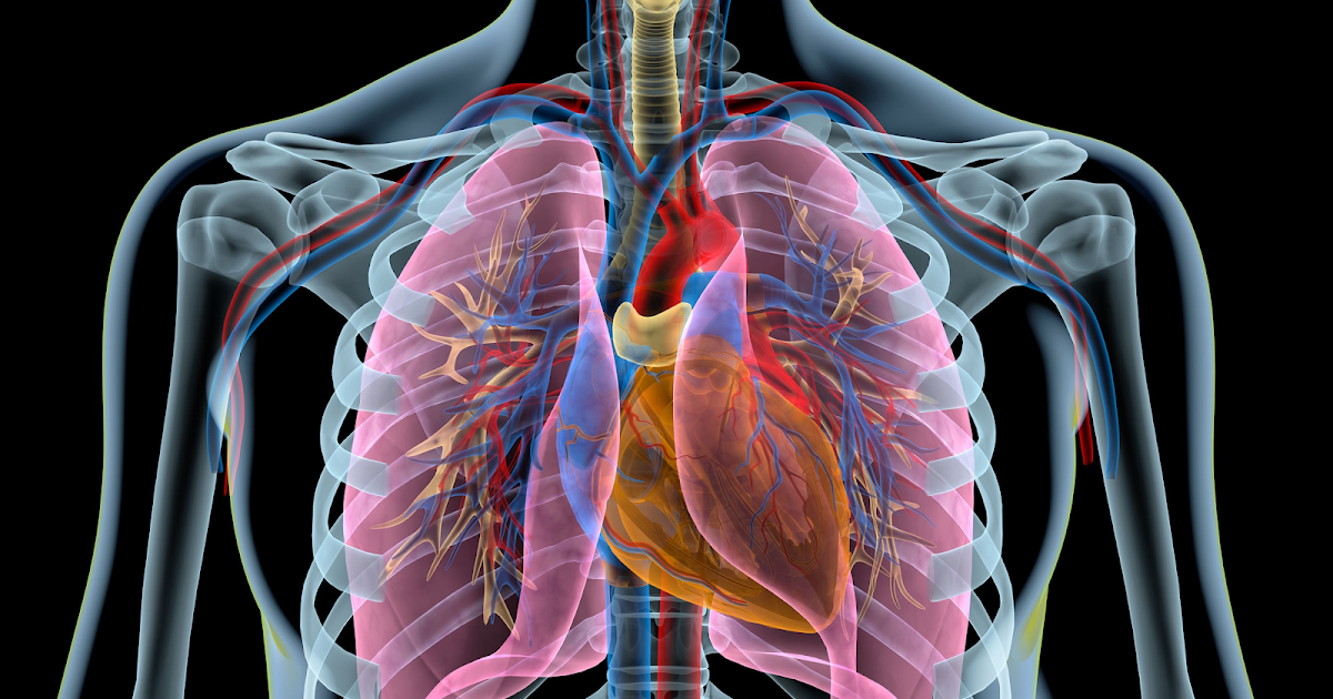 Unidad de Cardiorrespiratorio
