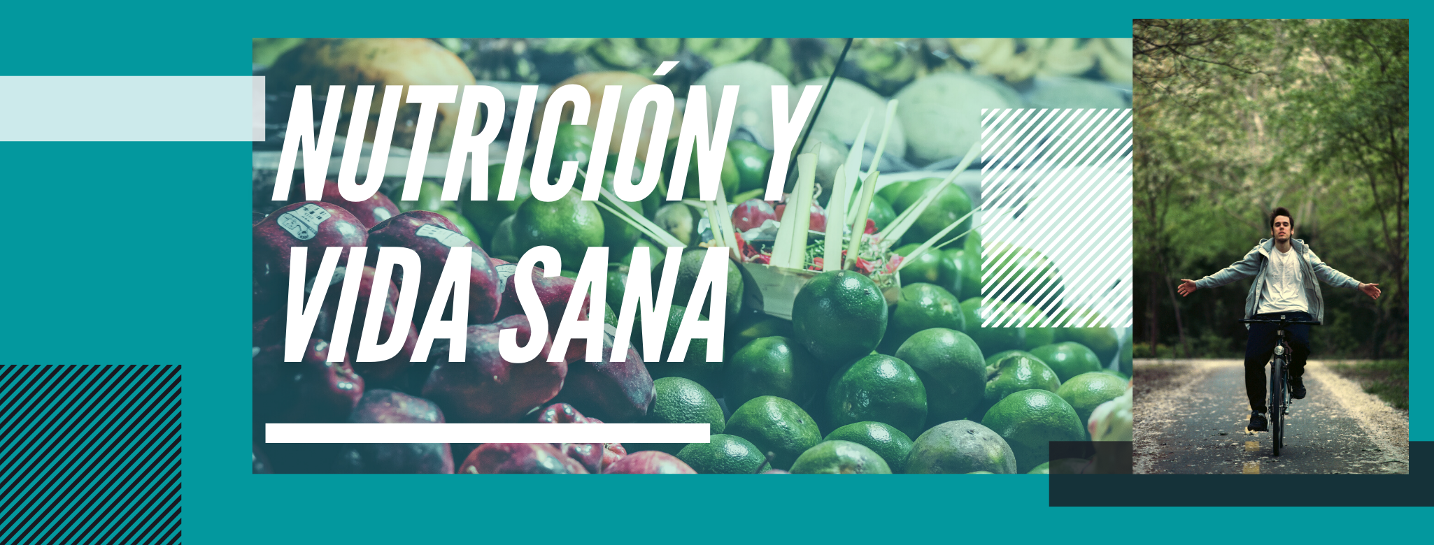 Nutrición y Vida Sana