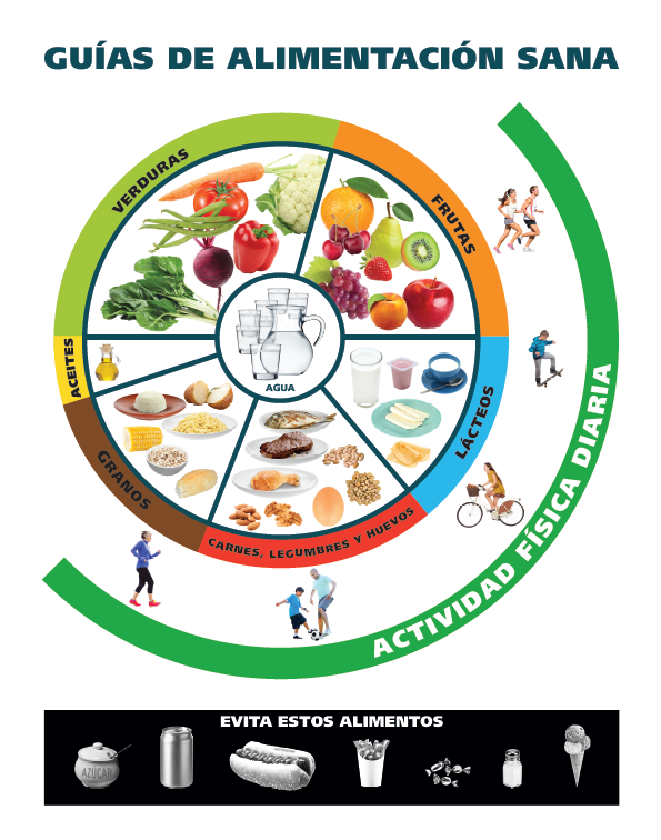 Nutrición y Vida Sana (2024)