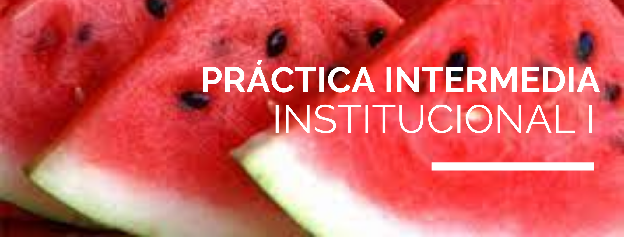 Práctica Intermedia Institucional I